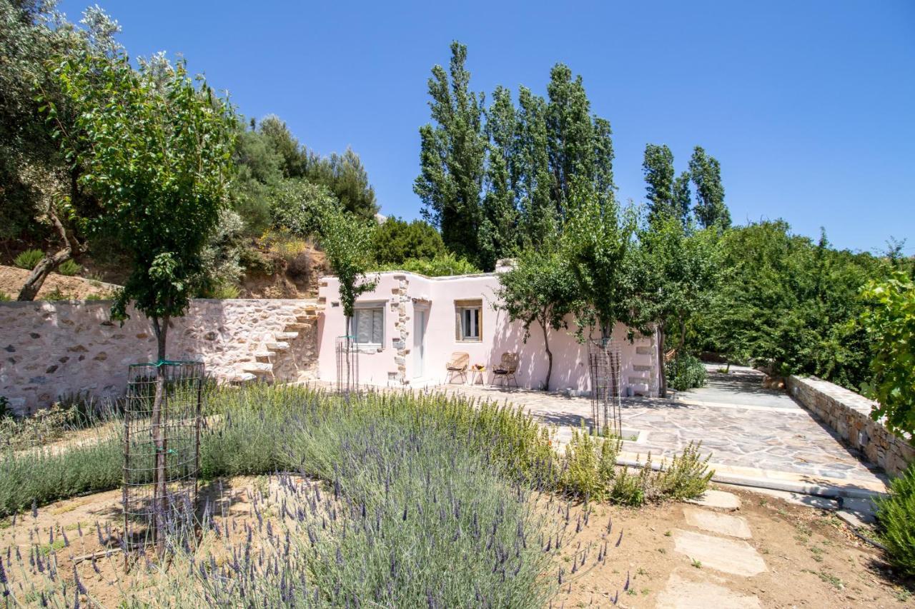 Serenity Village Aperathos ภายนอก รูปภาพ