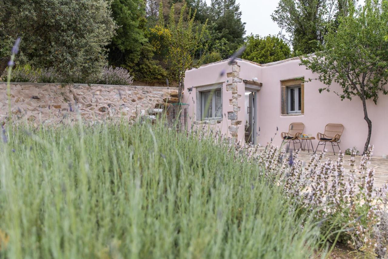 Serenity Village Aperathos ภายนอก รูปภาพ